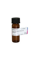 Acetyl-Coenzym A - Trilithiumsalz BioChemica
