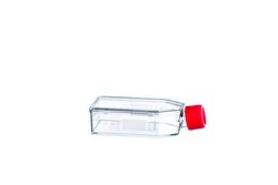 CELLSTAR® Standard Zellkultur Flaschen Greiner Bio-One
