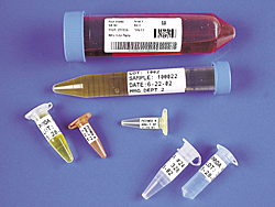 Etiketten für Zentrifugenröhrchen, Reaktions- und PCR-Gefässe zu LabXpert