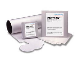 Whatman™ Blotting Membranen Protran Nitrocellulose Cytiva