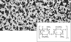 Membranfilter Typ 113 Cellulose Nitrat (CN) Sartorius