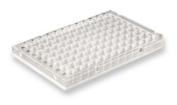 A-Frame® 96-Well PCR-Platte?, Halbrand, Niederprofil, Roche Stil Arvensis