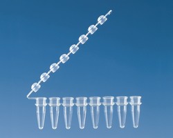 Strips of 8 PCR tubes attached cap strips Brand