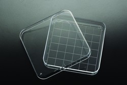 Quadratische Petrischale mit Gitternetz