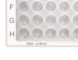 DNA LoBind Platten PCR Clean Eppendorf