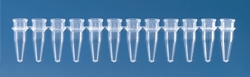 Strips of 12 PCR tubes Brand