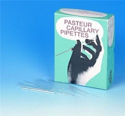 Pasteur Pipetten
