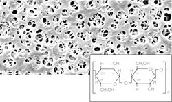 Regenerated Cellulose (RC) Membrane Filters Sartorius