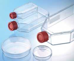 Cell Culture Dishes / Flasks Collagen Type I CELLCOAT® Greiner Bio-One