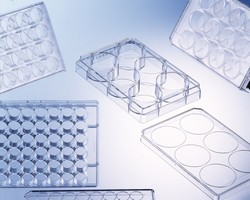 Cell Culture Multiwell Plates <em class="search-results-highlight">CELLSTAR®</em> for suspension cultures Greiner Bio-One