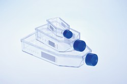 Cell Culture Flasks Advanced TC™ Standard Greiner Bio-One