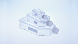 Filter Cap Suspension Culture Flasks <em class="search-results-highlight">CELLSTAR®</em> Greiner Bio-One