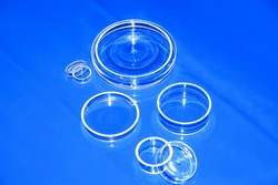 Petri dishes lower and upper shells made of quartz glass