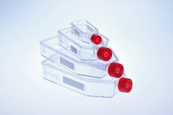 Filter Cap Cell Culture Flasks CELLSTAR® Greiner Bio-One