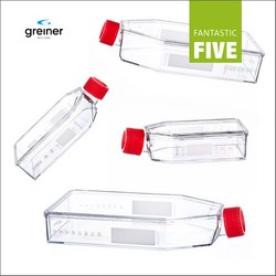 Filter Cap Cell Culture Flasks <em class="search-results-highlight">CELLSTAR®</em> Greiner Bio-One