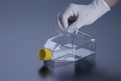 Tissue Culture Flask with re-closable Lid or peel-off Foil TPP